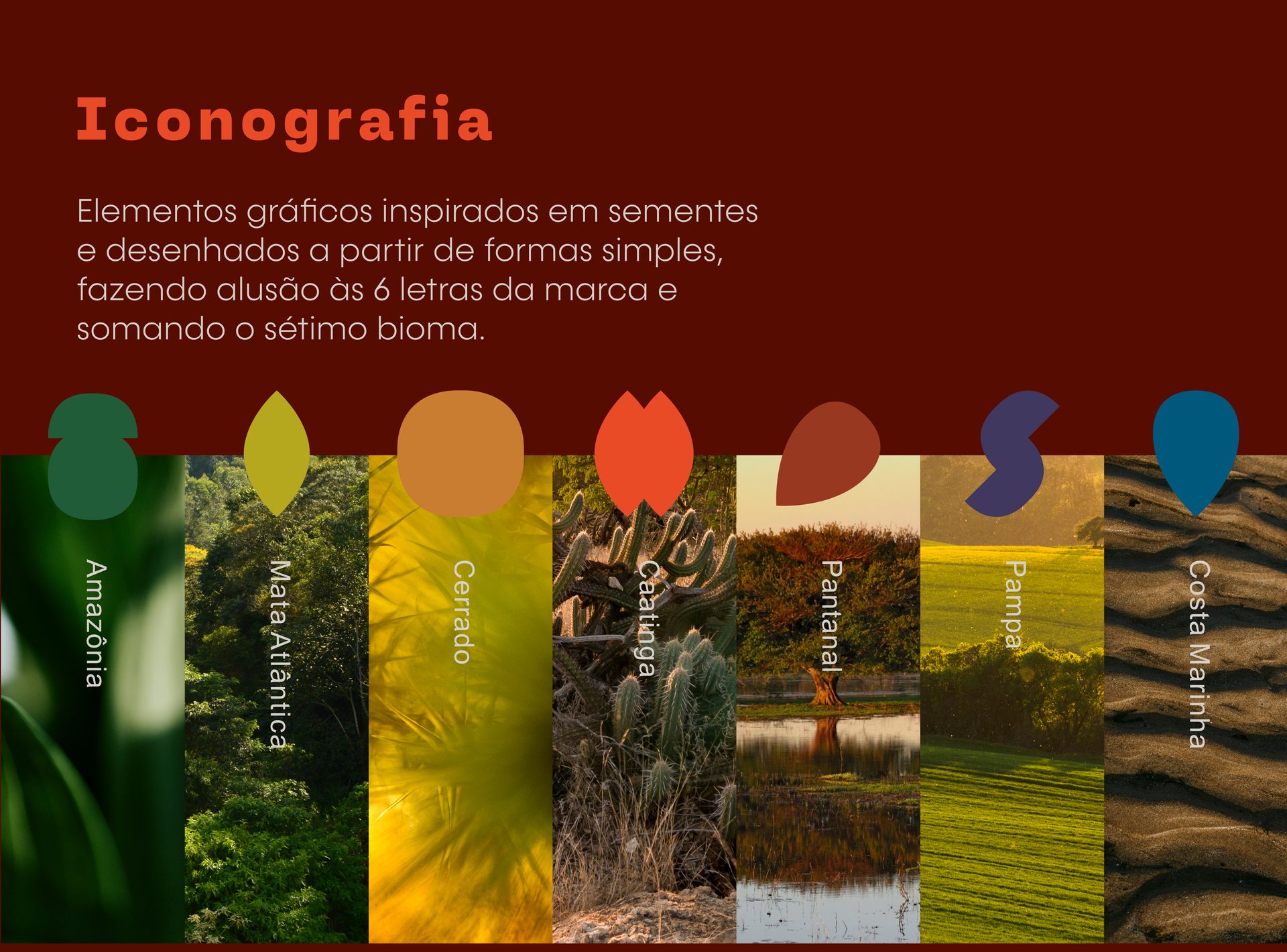 Biomas - Apresentação Institucional, iconografia