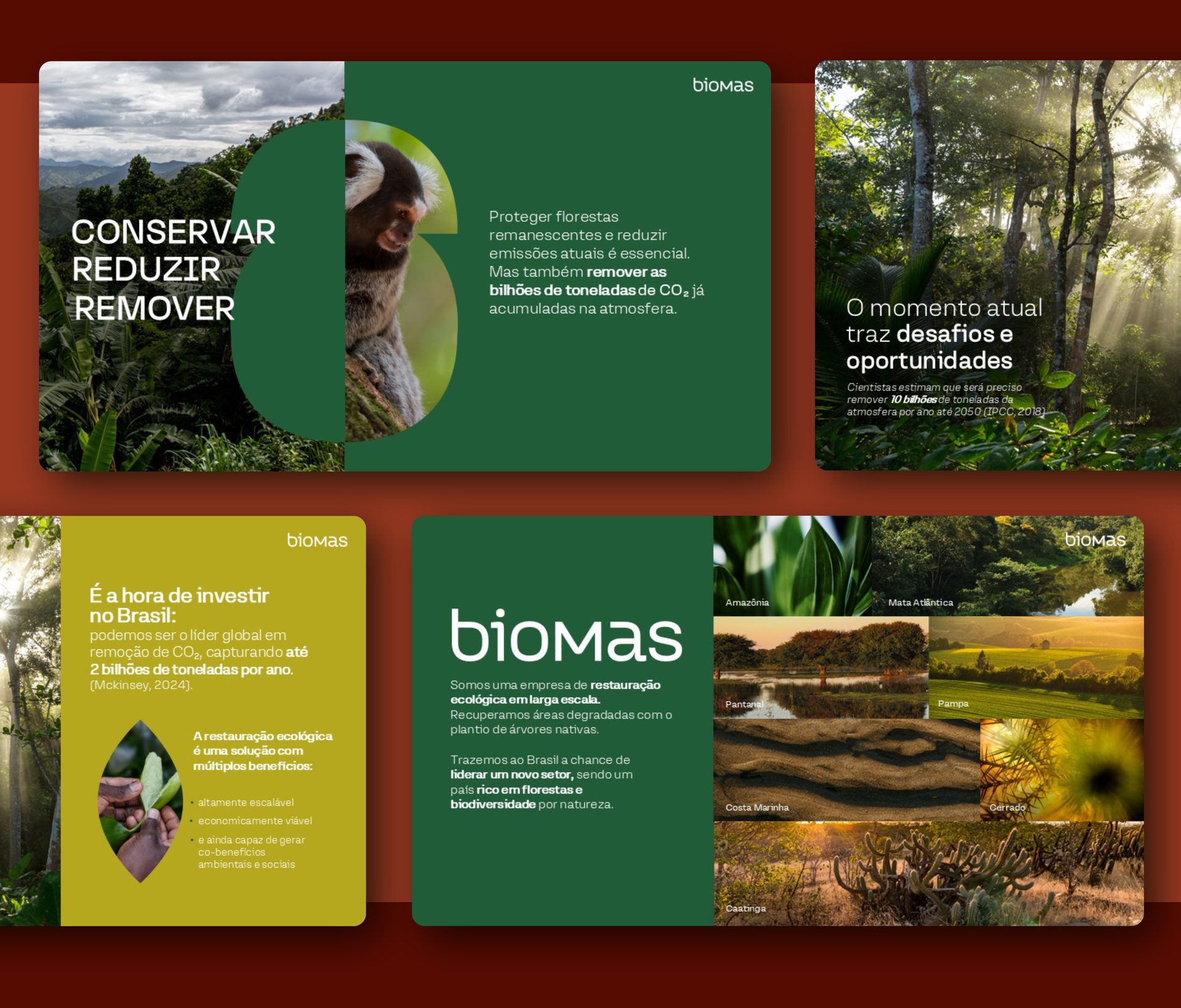 Biomas - Corporate Presentation, presentation slides