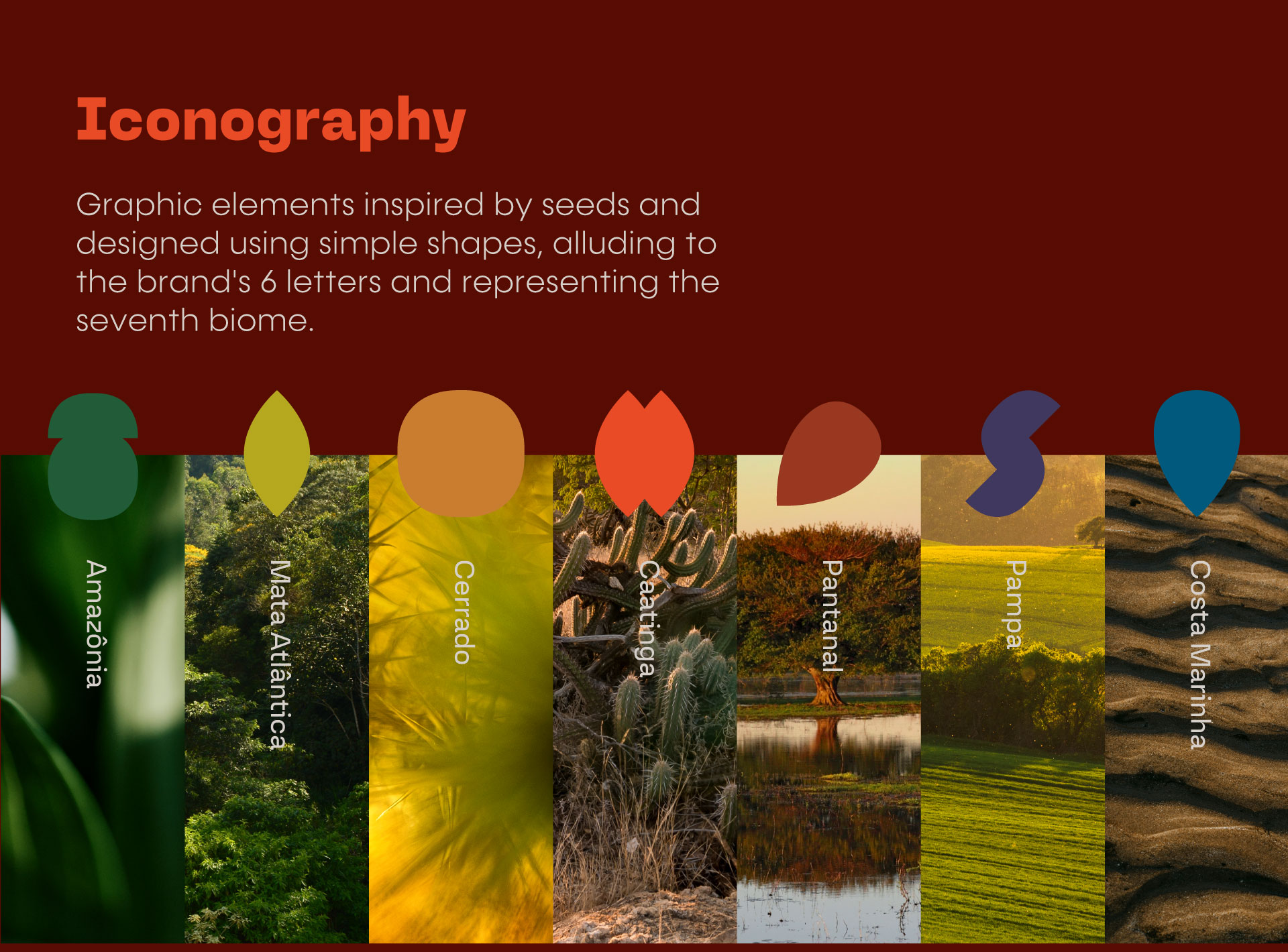 Biomas - Corporate Presentation, iconography