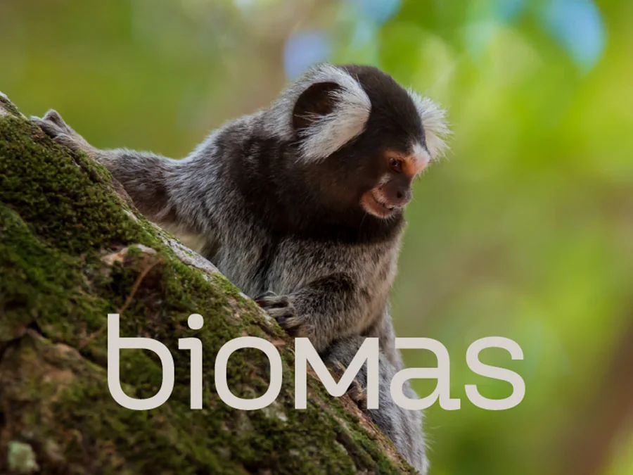 Biomas - Corporate Presentation