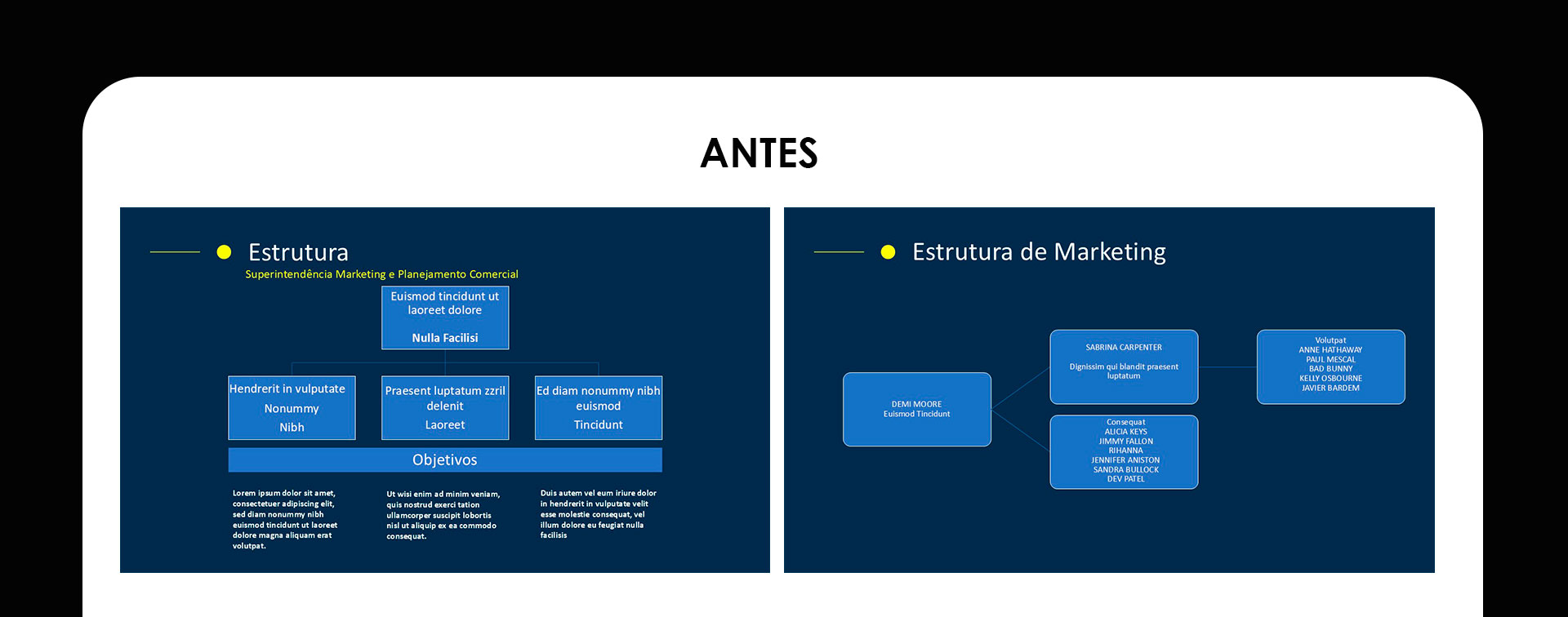 Brasilseg - Apresentação Institucional, antes