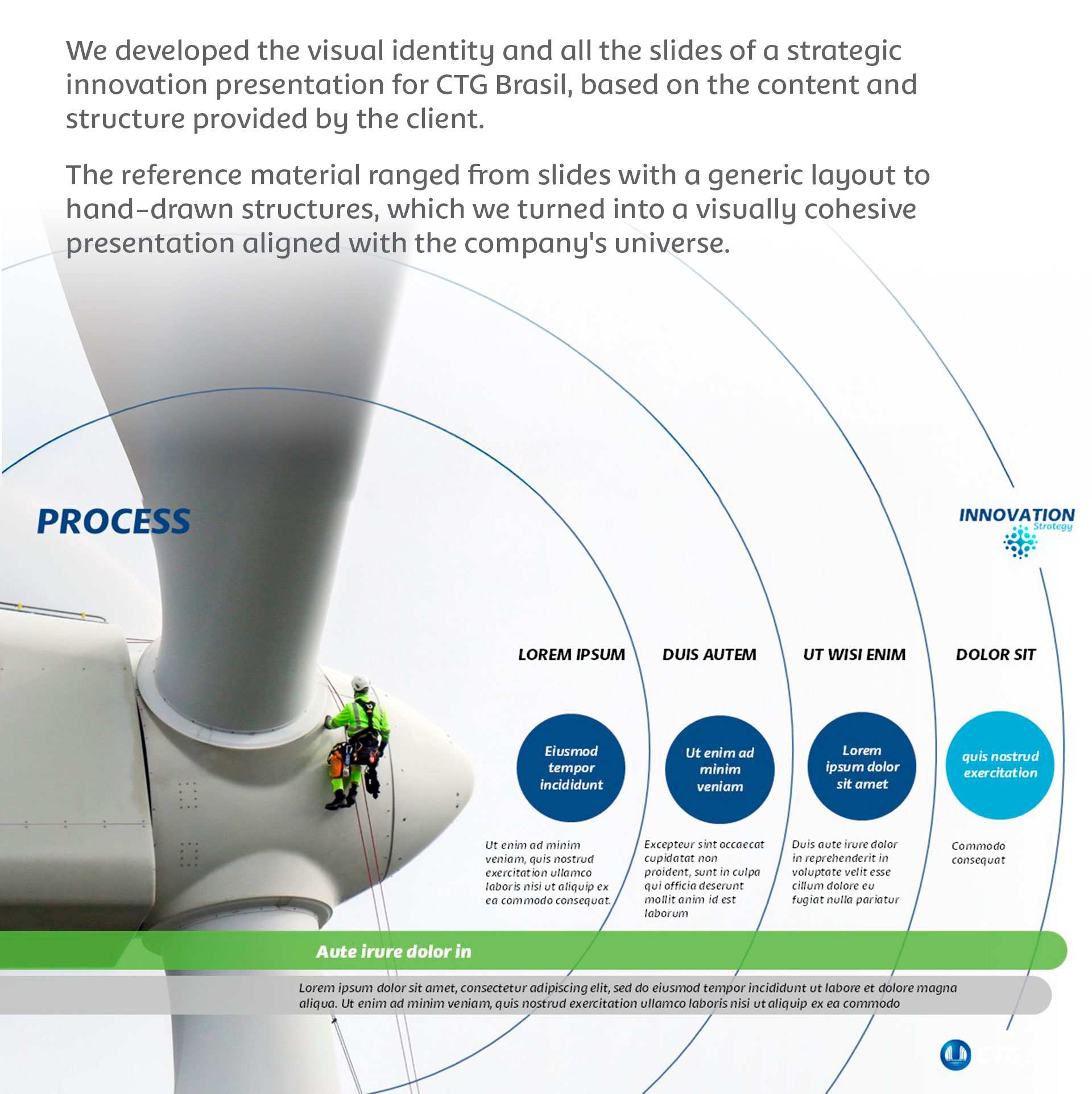 CTG - Innovation Strategy, project overview text