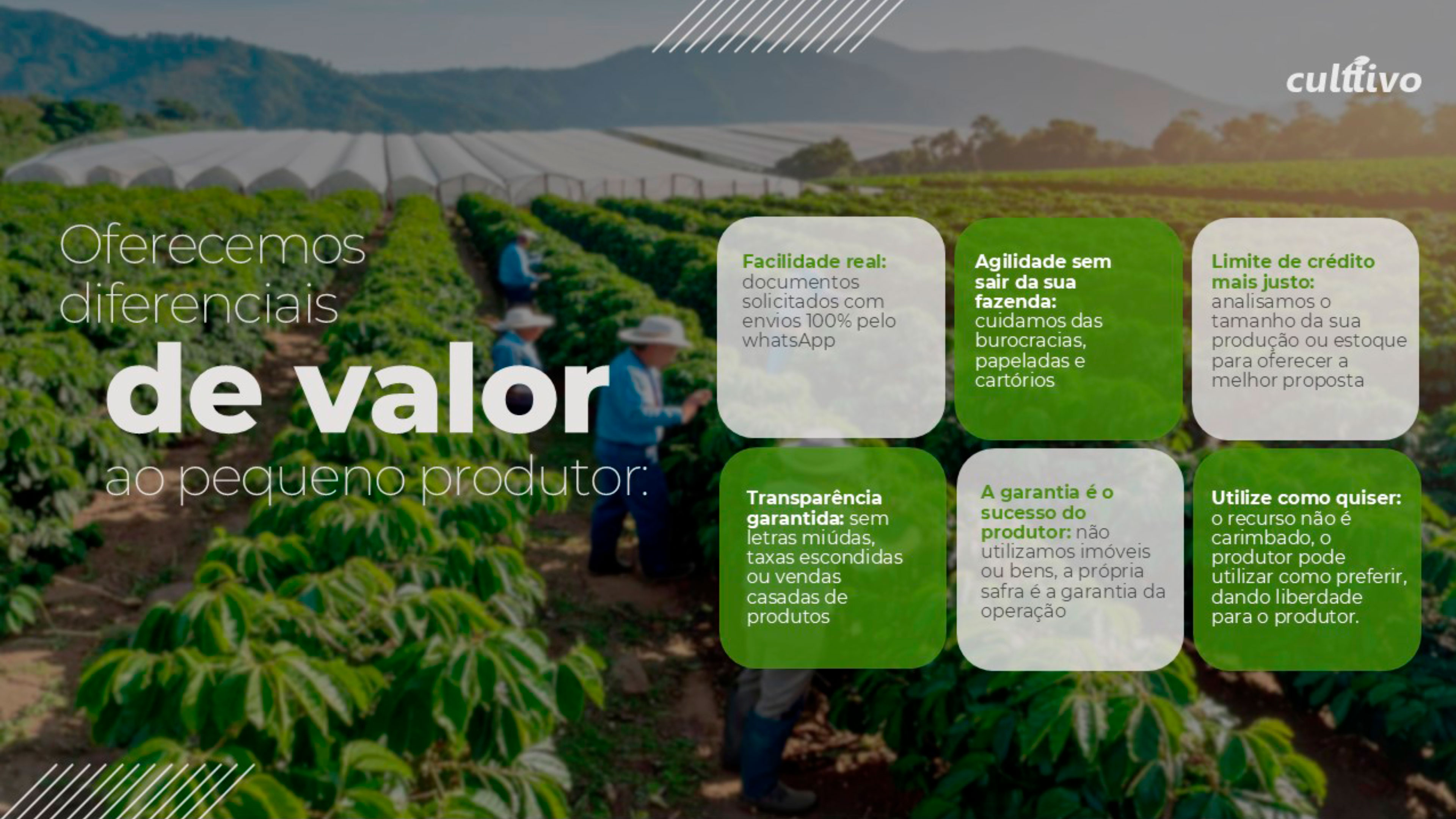 Culttivo - Apresentação Comercial, slides da apresentação 2