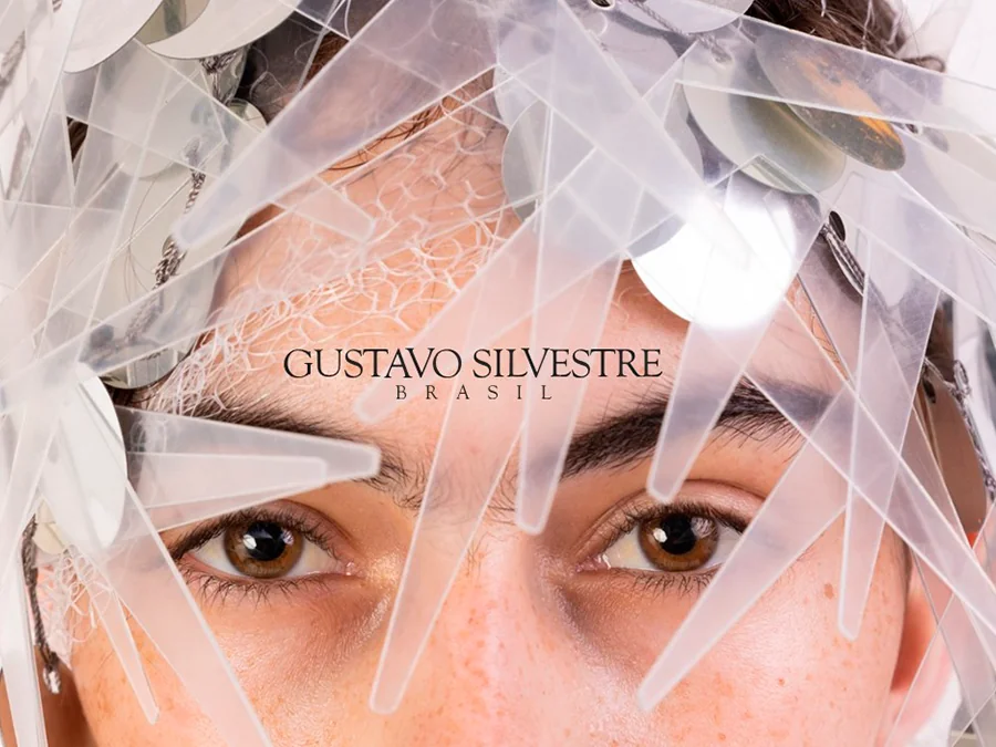 Gustavo Silvestre - Corporate Presentation