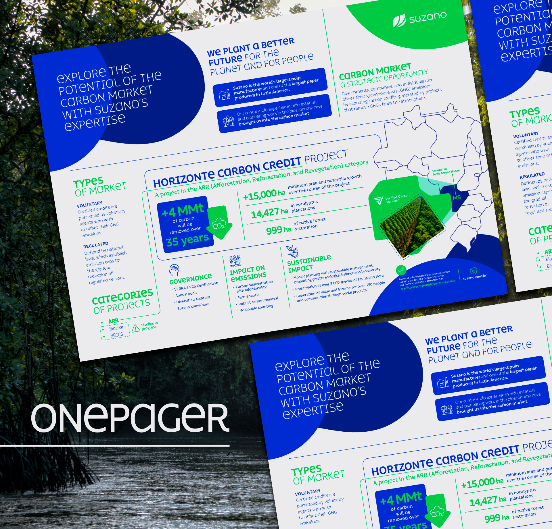 Suzano - Horizonte Carbon Credit Project, one-pager