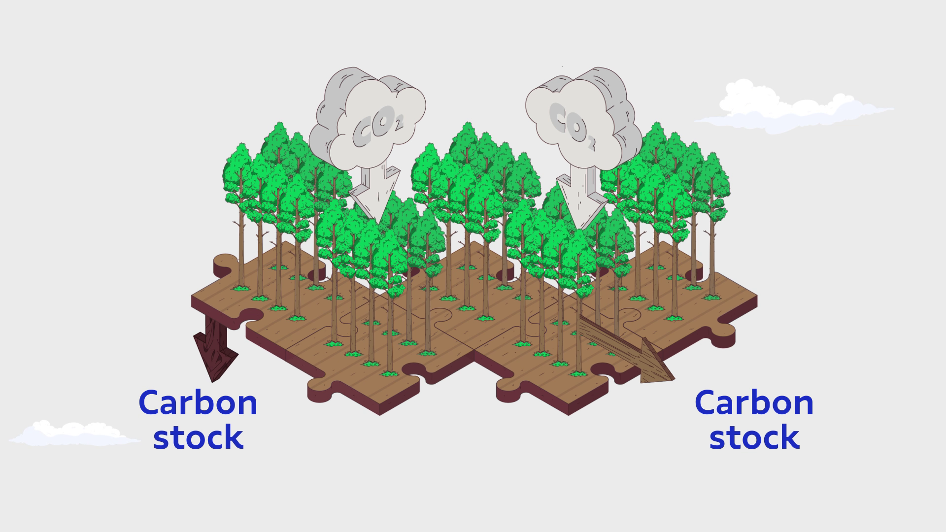 Suzano - Life Cycle Assessment, illustration 5