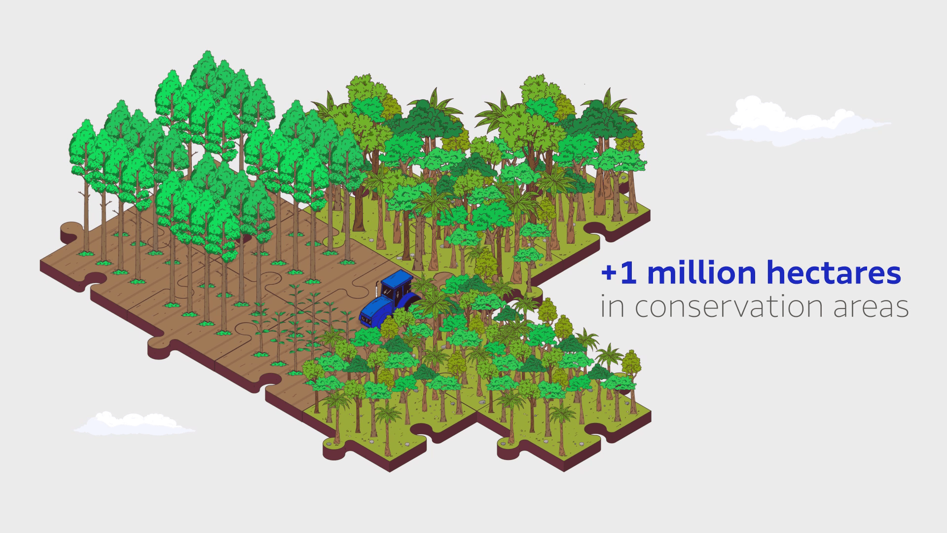 Suzano - Life Cycle Assessment, illustration 9